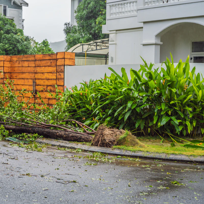Gathered Vegetation Removal Services