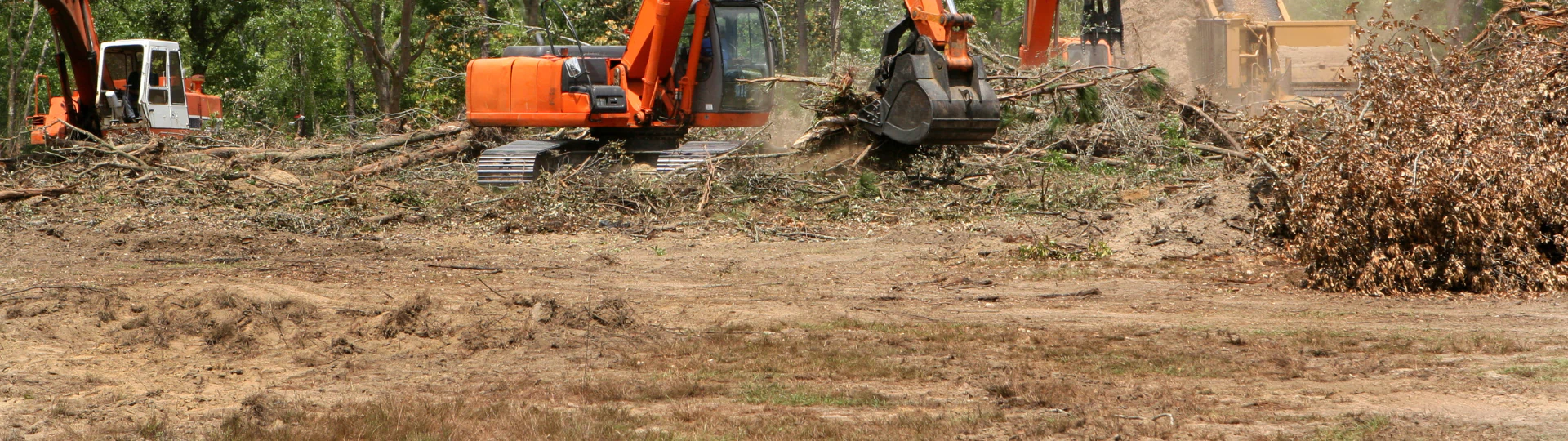 Land Clearing breadcrumb